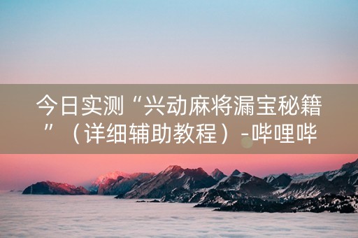 今日实测“兴动麻将漏宝秘籍”（详细辅助教程）-哔哩哔哩