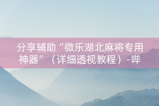 分享辅助“微乐湖北麻将专用神器”（详细透视教程）-哔哩哔哩