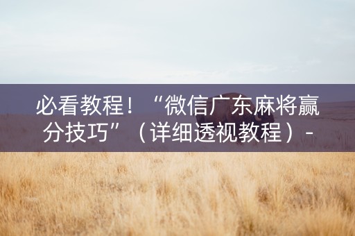 必看教程！“微信广东麻将赢分技巧”（详细透视教程）-哔哩哔哩