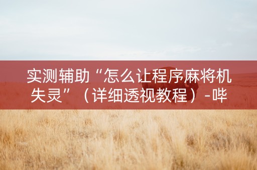 实测辅助“怎么让程序麻将机失灵”（详细透视教程）-哔哩哔哩