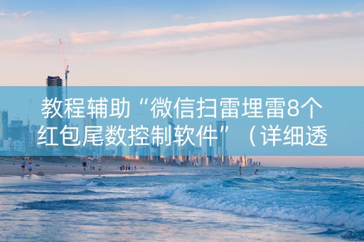 教程辅助“微信扫雷埋雷8个红包尾数控制软件”（详细透视教程）-哔哩哔哩