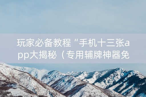 玩家必备教程“手机十三张app大揭秘（专用辅牌神器免安装）