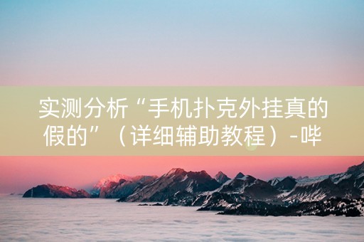 实测分析“手机扑克外挂真的假的”（详细辅助教程）-哔哩哔哩