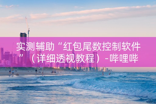实测辅助“红包尾数控制软件”（详细透视教程）-哔哩哔哩