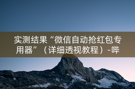 实测结果“微信自动抢红包专用器”（详细透视教程）-哔哩哔哩