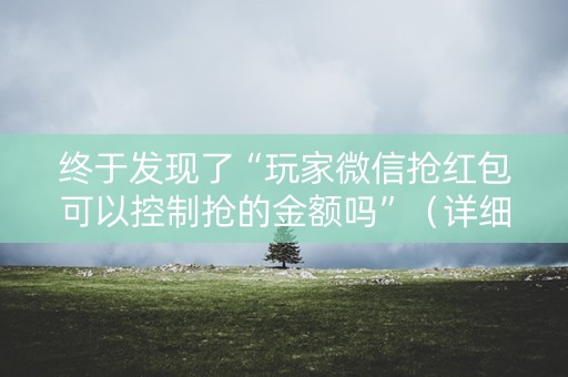 终于发现了“玩家微信抢红包可以控制抢的金额吗”（详细透视教程）-哔哩哔哩