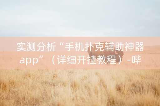 实测分析“手机扑克辅助神器app”（详细开挂教程）-哔哩哔哩