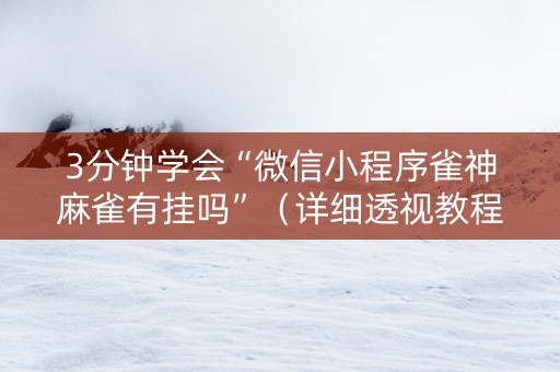 3分钟学会“微信小程序雀神麻雀有挂吗”（详细透视教程）-哔哩哔哩