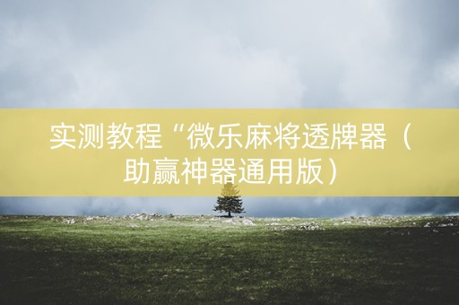 实测教程“微乐麻将透牌器（助赢神器通用版）