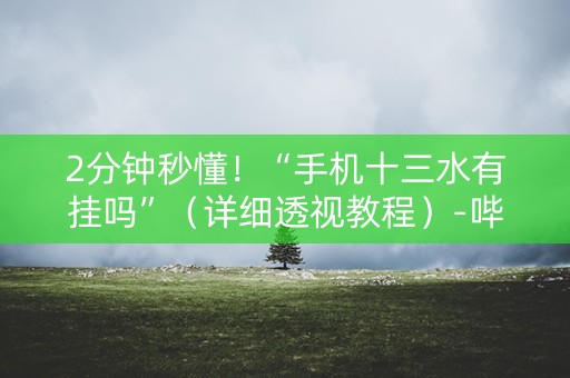2分钟秒懂！“手机十三水有挂吗”（详细透视教程）-哔哩哔哩