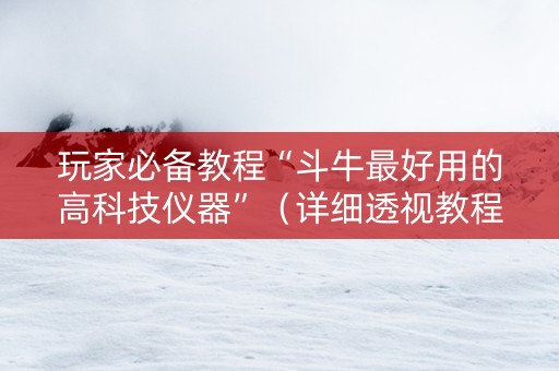 玩家必备教程“斗牛最好用的高科技仪器”（详细透视教程）-哔哩哔哩