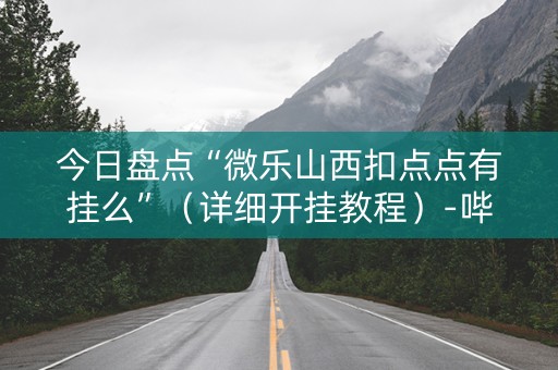 今日盘点“微乐山西扣点点有挂么”（详细开挂教程）-哔哩哔哩
