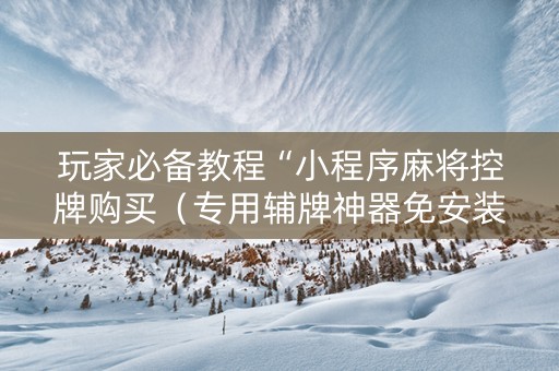 玩家必备教程“小程序麻将控牌购买（专用辅牌神器免安装）