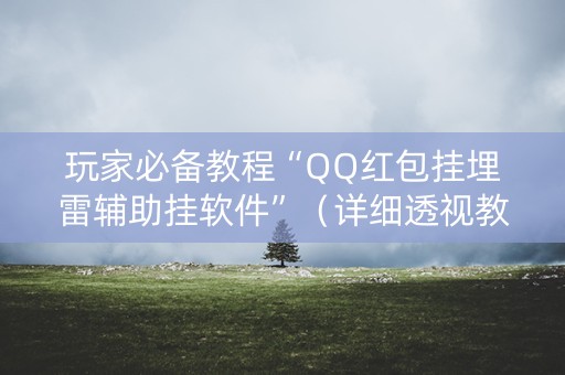玩家必备教程“QQ红包挂埋雷辅助挂软件”（详细透视教程）-哔哩哔哩