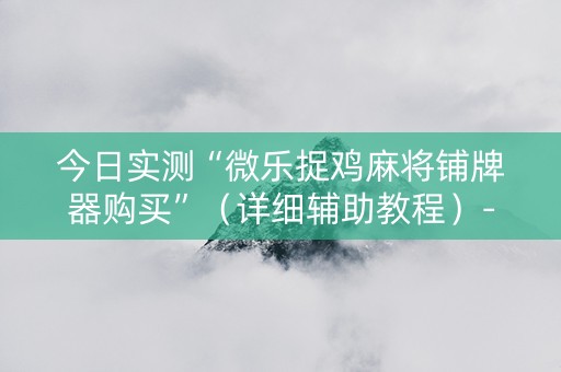 今日实测“微乐捉鸡麻将铺牌器购买”（详细辅助教程）-哔哩哔哩