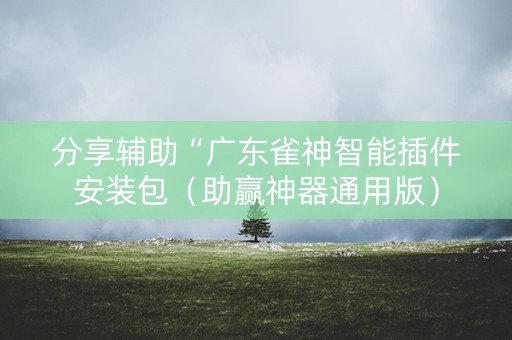 分享辅助“广东雀神智能插件安装包（助赢神器通用版）