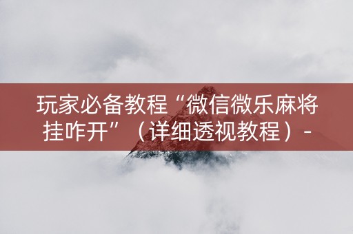 玩家必备教程“微信微乐麻将挂咋开”（详细透视教程）-哔哩哔哩