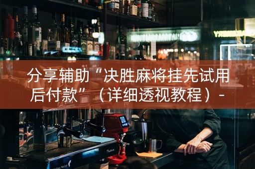 分享辅助“决胜麻将挂先试用后付款”（详细透视教程）-哔哩哔哩