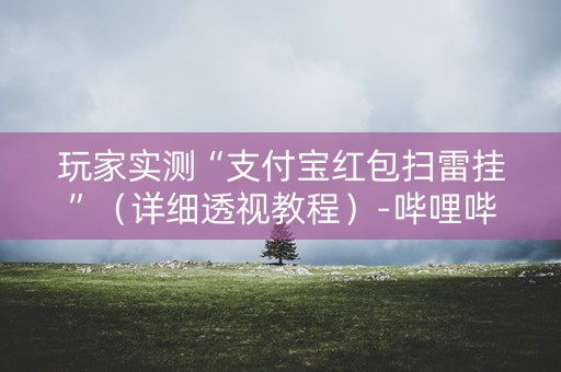 玩家实测“支付宝红包扫雷挂”（详细透视教程）-哔哩哔哩