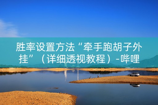 胜率设置方法“牵手跑胡子外挂”（详细透视教程）-哔哩哔哩
