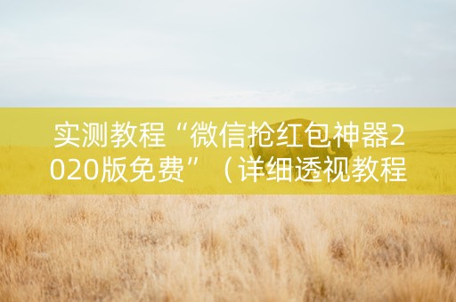 实测教程“微信抢红包神器2020版免费”（详细透视教程）-哔哩哔哩