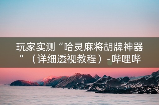 玩家实测“哈灵麻将胡牌神器”（详细透视教程）-哔哩哔哩