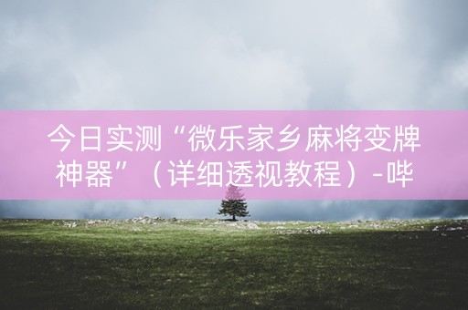 今日实测“微乐家乡麻将变牌神器”（详细透视教程）-哔哩哔哩