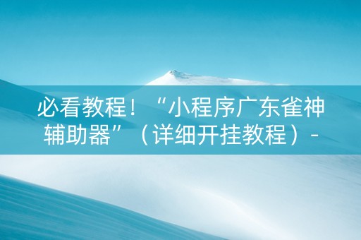 必看教程！“小程序广东雀神辅助器”（详细开挂教程）-哔哩哔哩