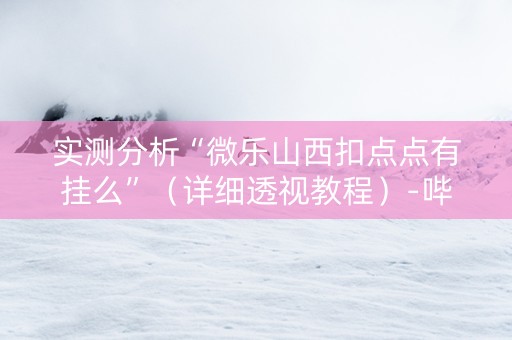 实测分析“微乐山西扣点点有挂么”（详细透视教程）-哔哩哔哩