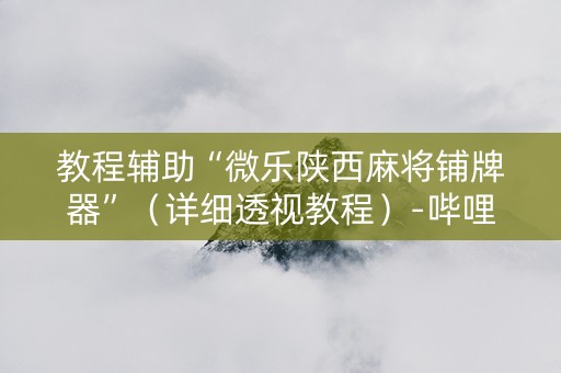 教程辅助“微乐陕西麻将铺牌器”（详细透视教程）-哔哩哔哩