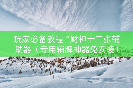 玩家必备教程“财神十三张辅助器（专用辅牌神器免安装）