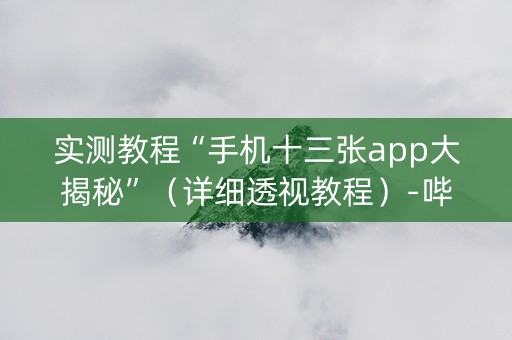 实测教程“手机十三张app大揭秘”（详细透视教程）-哔哩哔哩