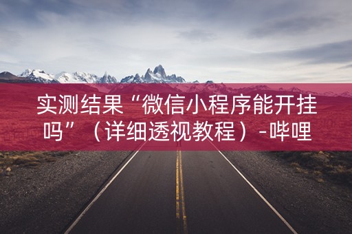 实测结果“微信小程序能开挂吗”（详细透视教程）-哔哩哔哩