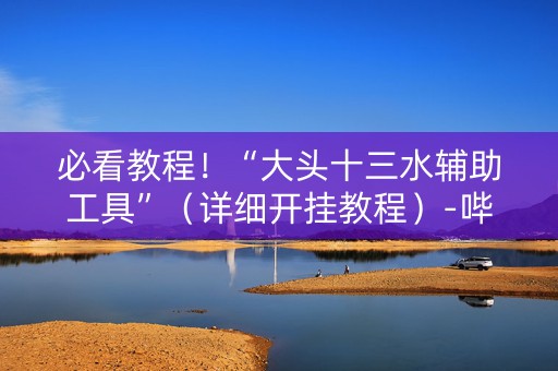 必看教程！“大头十三水辅助工具”（详细开挂教程）-哔哩哔哩