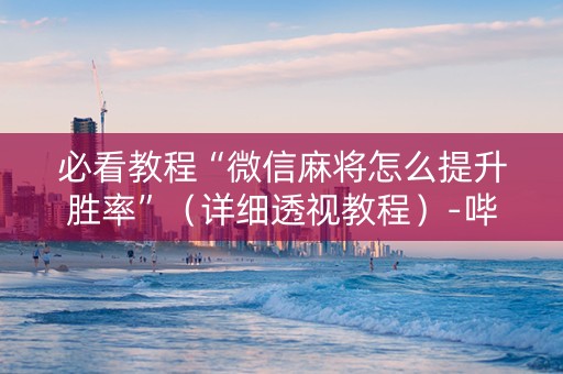 必看教程“微信麻将怎么提升胜率”（详细透视教程）-哔哩哔哩