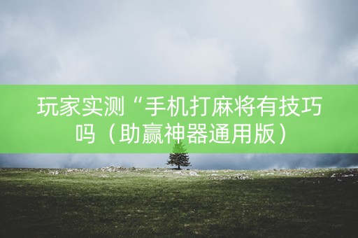 玩家实测“手机打麻将有技巧吗（助赢神器通用版）