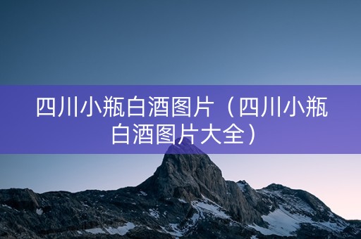 四川小瓶白酒图片（四川小瓶白酒图片大全）