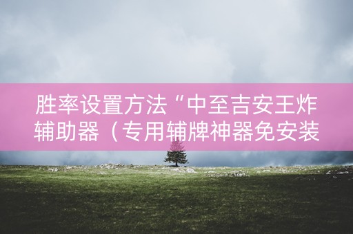 胜率设置方法“中至吉安王炸辅助器（专用辅牌神器免安装）
