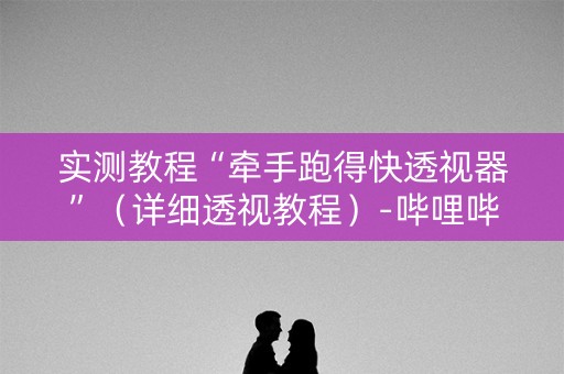 实测教程“牵手跑得快透视器”（详细透视教程）-哔哩哔哩