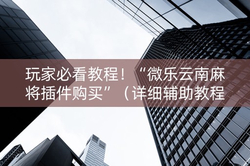 玩家必看教程！“微乐云南麻将插件购买”（详细辅助教程）-哔哩哔哩