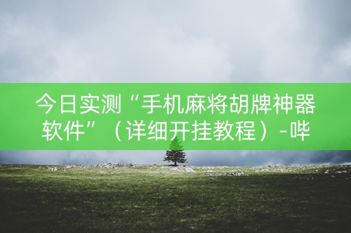 今日实测“手机麻将胡牌神器软件”（详细开挂教程）-哔哩哔哩