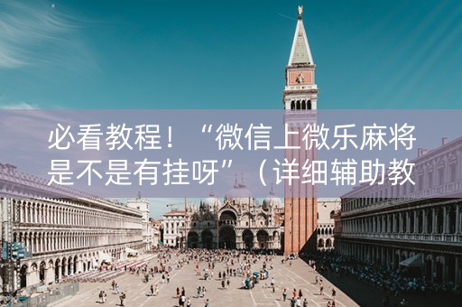 必看教程！“微信上微乐麻将是不是有挂呀”（详细辅助教程）-哔哩哔哩