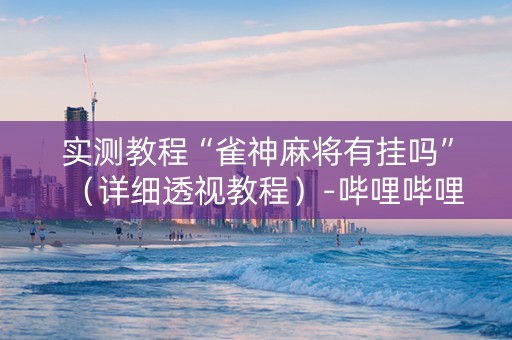 实测教程“雀神麻将有挂吗”（详细透视教程）-哔哩哔哩