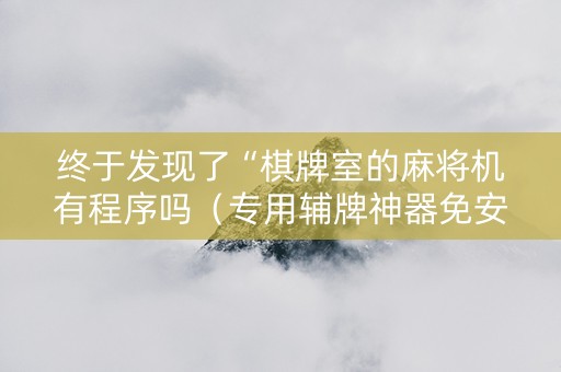 终于发现了“棋牌室的麻将机有程序吗（专用辅牌神器免安装）