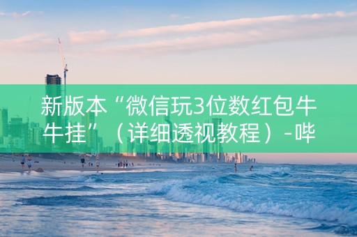 新版本“微信玩3位数红包牛牛挂”（详细透视教程）-哔哩哔哩