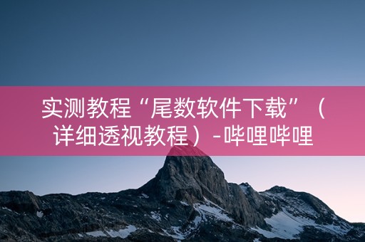 实测教程“尾数软件下载”（详细透视教程）-哔哩哔哩