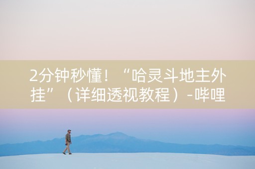 2分钟秒懂！“哈灵斗地主外挂”（详细透视教程）-哔哩哔哩