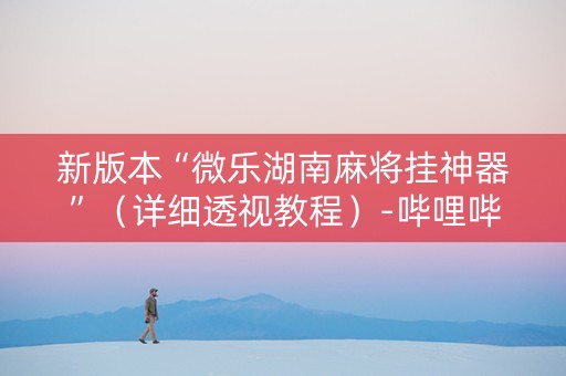 新版本“微乐湖南麻将挂神器”（详细透视教程）-哔哩哔哩