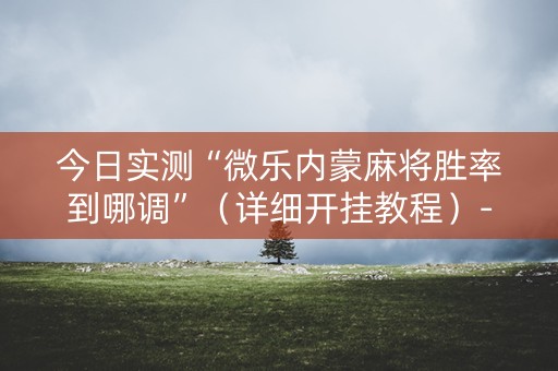 今日实测“微乐内蒙麻将胜率到哪调”（详细开挂教程）-哔哩哔哩