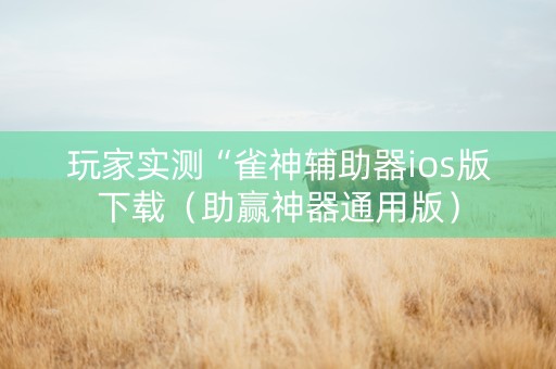 玩家实测“雀神辅助器ios版下载（助赢神器通用版）